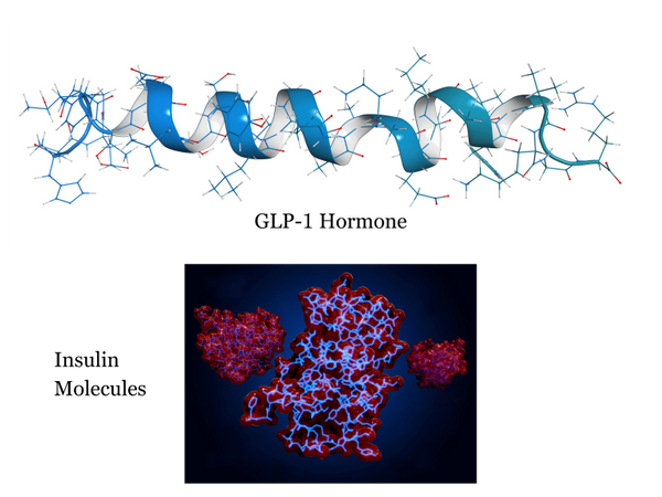 GLP1 Image